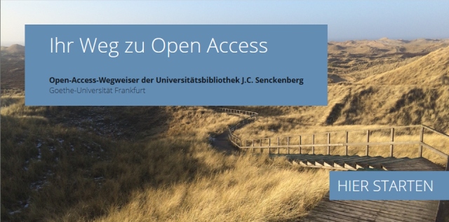 Ein Screenshot der Startseite des Open-Access-Weigweisers, darauf zu sehen eine Dünenlandschaft und der Text "Ihr Weg zu Open Access"