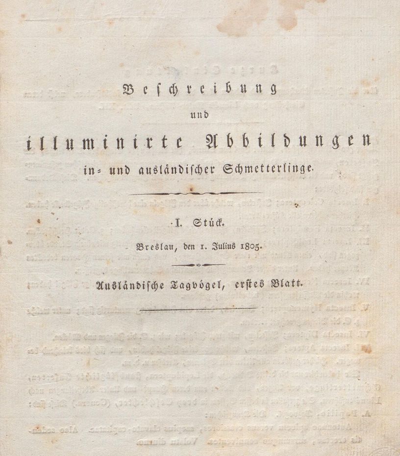Richter: Schmetterlinge, 1805 - Titelblatt