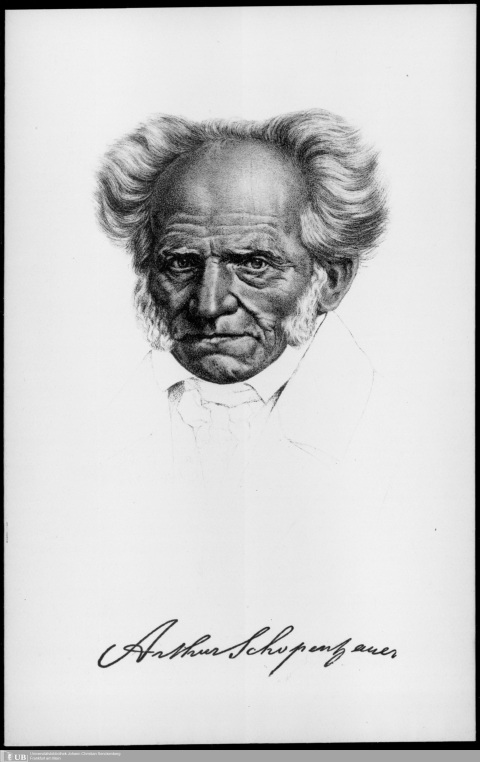 Vorschaubild: Gezeichnetes Portrait von Schopenhauer
