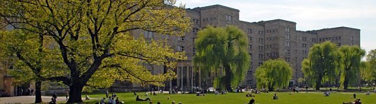 Bibliotheksansicht
