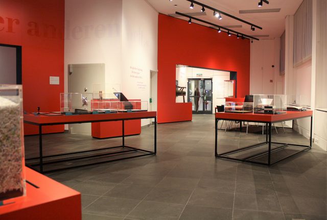 Der Ausstellungsraum im Schopenhauer-Studio mit einigen Vitrinen