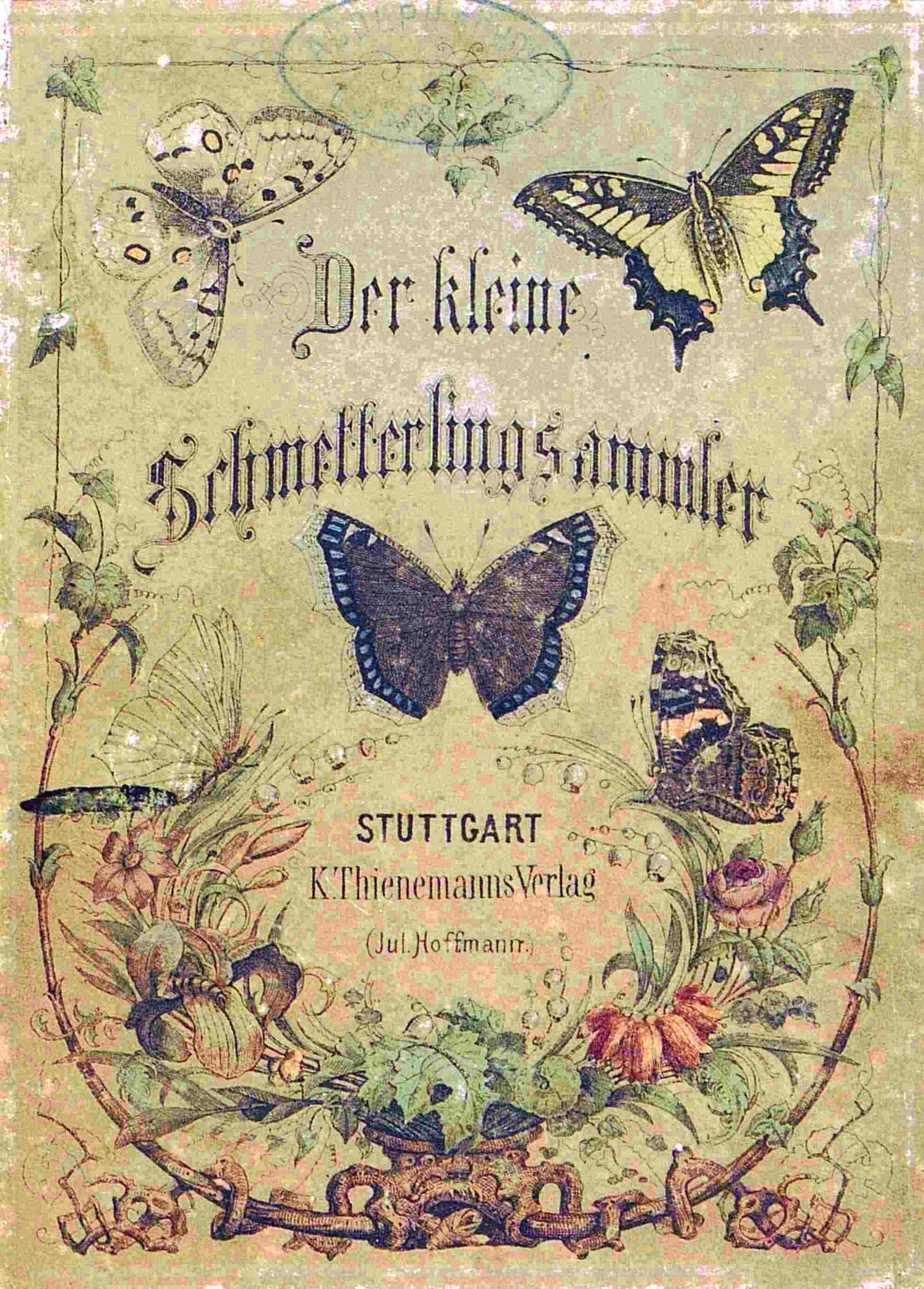 Titelblatt zu: Der kleine Schmetterling-Sammler